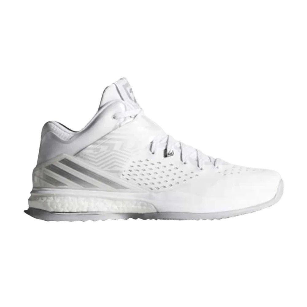 Krossovki-Reebok-RG3-Energy-Boost