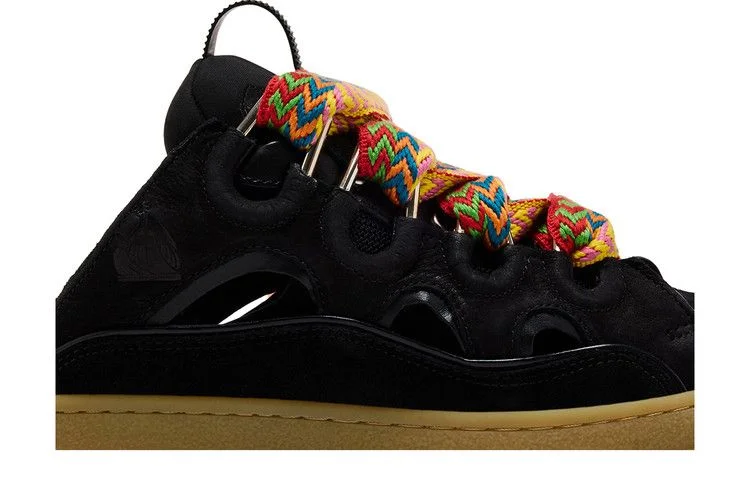 Tapochki-Lanvin-Curb-Mule-Black-Multi-Laces-1